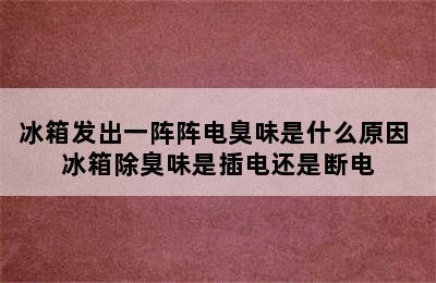 冰箱发出一阵阵电臭味是什么原因 冰箱除臭味是插电还是断电